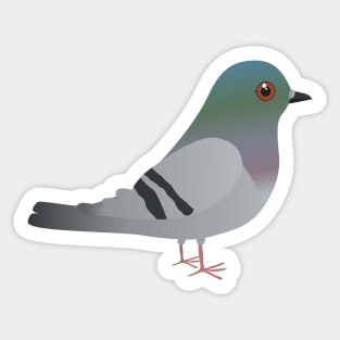 Cute pigeon Sticker